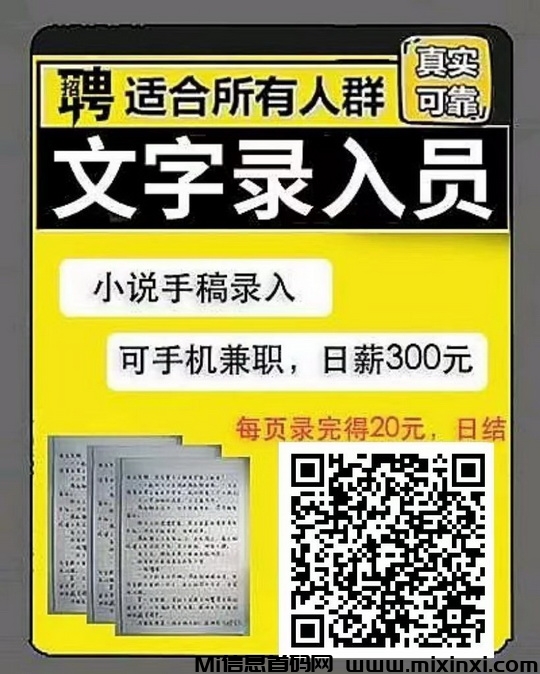 V小说录入平台：收益比较稳定打字项目-首码项目网